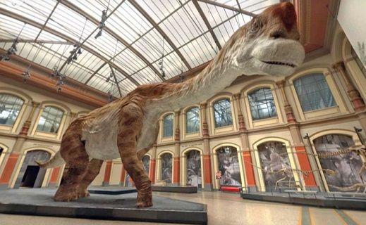 En giraffatitan från Naturhistoriska museet i Berlin.