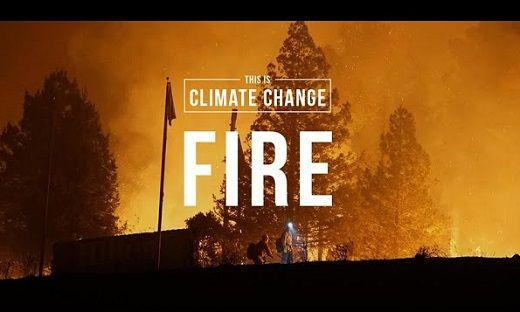 Brinnande skog bakgrunden och med texten Fire över hela bilden.