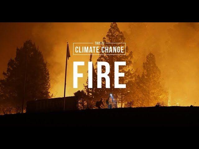 Brinnande skog bakgrunden och med texten Fire över hela bilden.