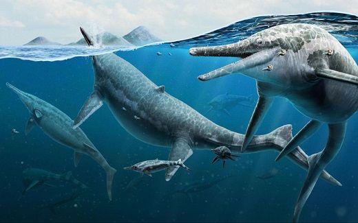En fisködla som äter en fisk 