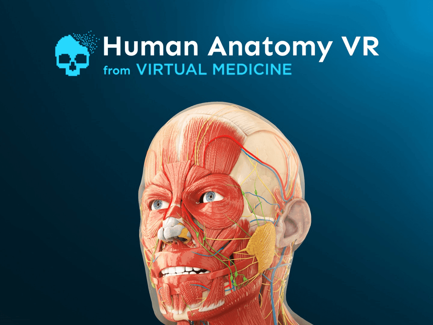 Human anatomy Vr logotypen