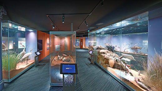 Inifrån South Australian Museum.