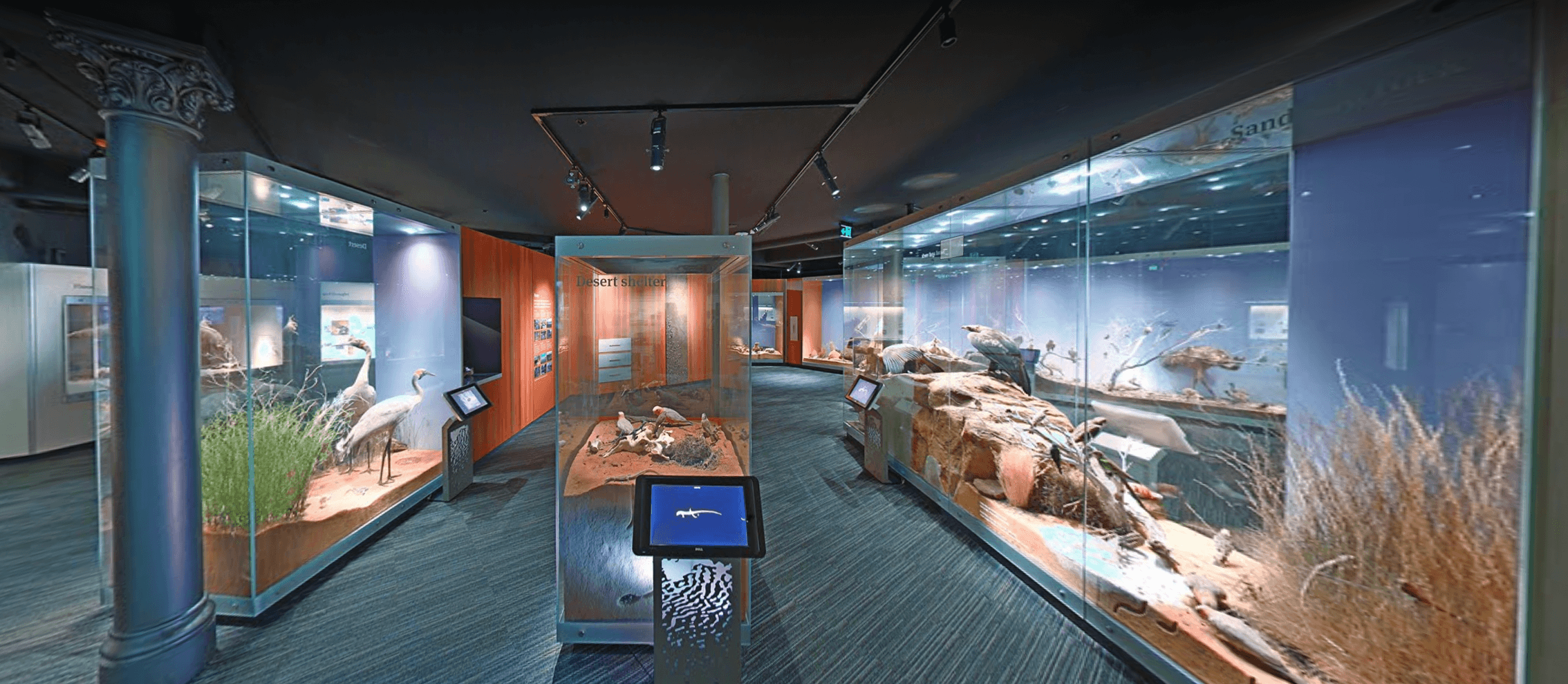 Inifrån South Australian Museum.