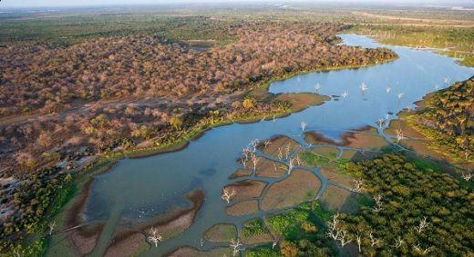 Översiktsbild på Okavango deltat