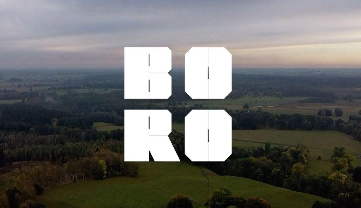 Logotyp som visar texten BORO