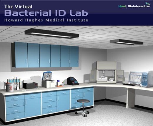 Ett virtuellt laboratorium med utrustning.