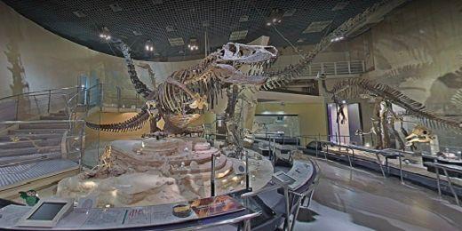 Ett dinosaurieskelett taget inifrån Museum of Nature and Science.